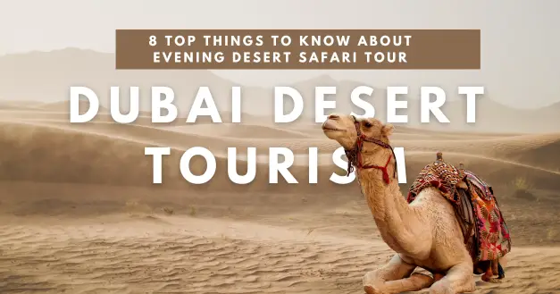 Top Things to Know About Evening Desert Safari Tour